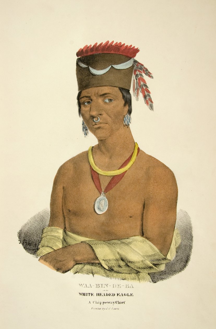 Waa-bin-de-ba ou a águia de cabeça branca de James Otto Lewis