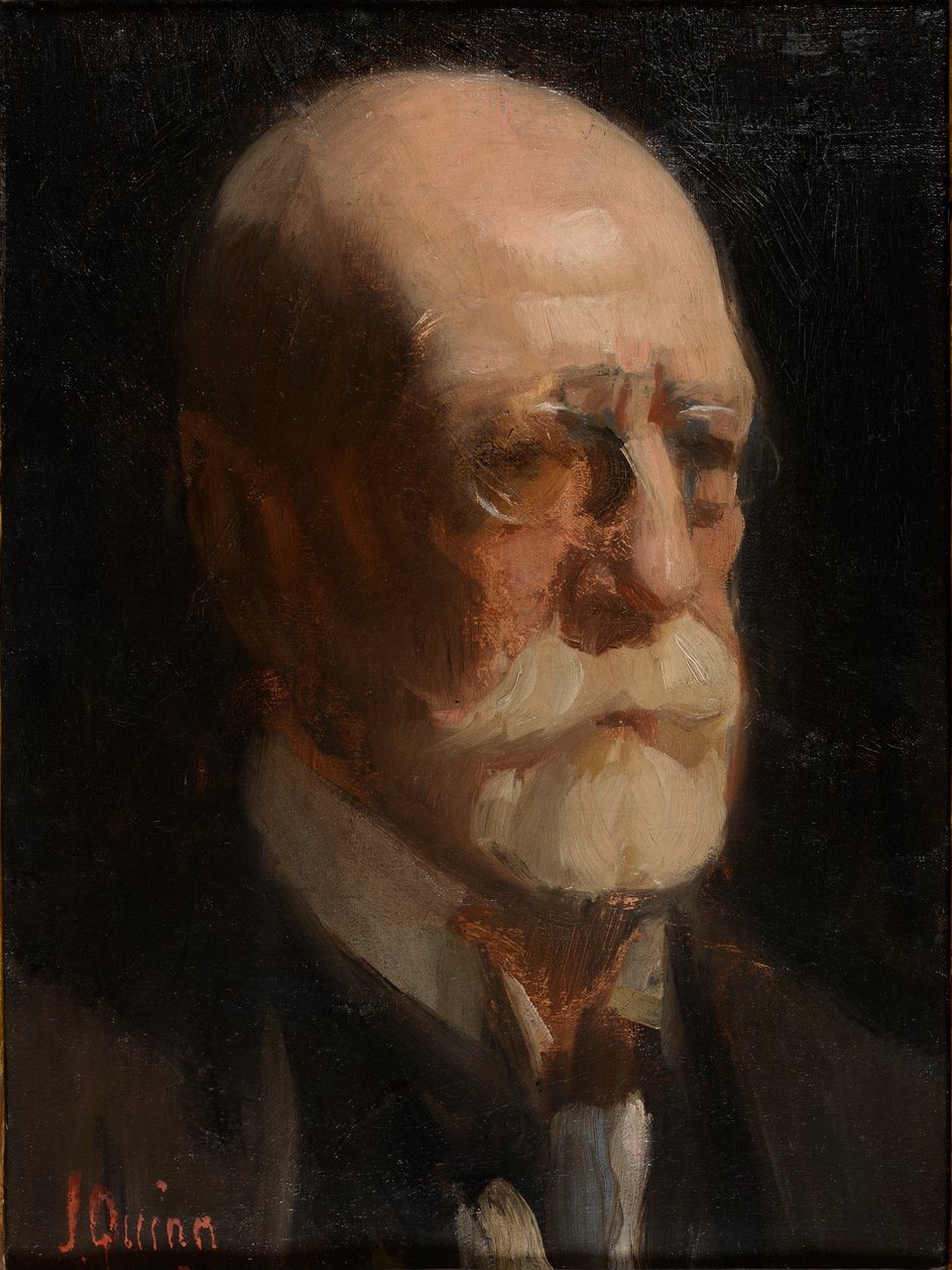 Retrato de um homem com barba (óleo sobre tela) de James Peter Quinn