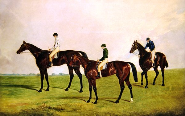 Racehorses Jockeys Up (óleo sobre tela) de James Pollard