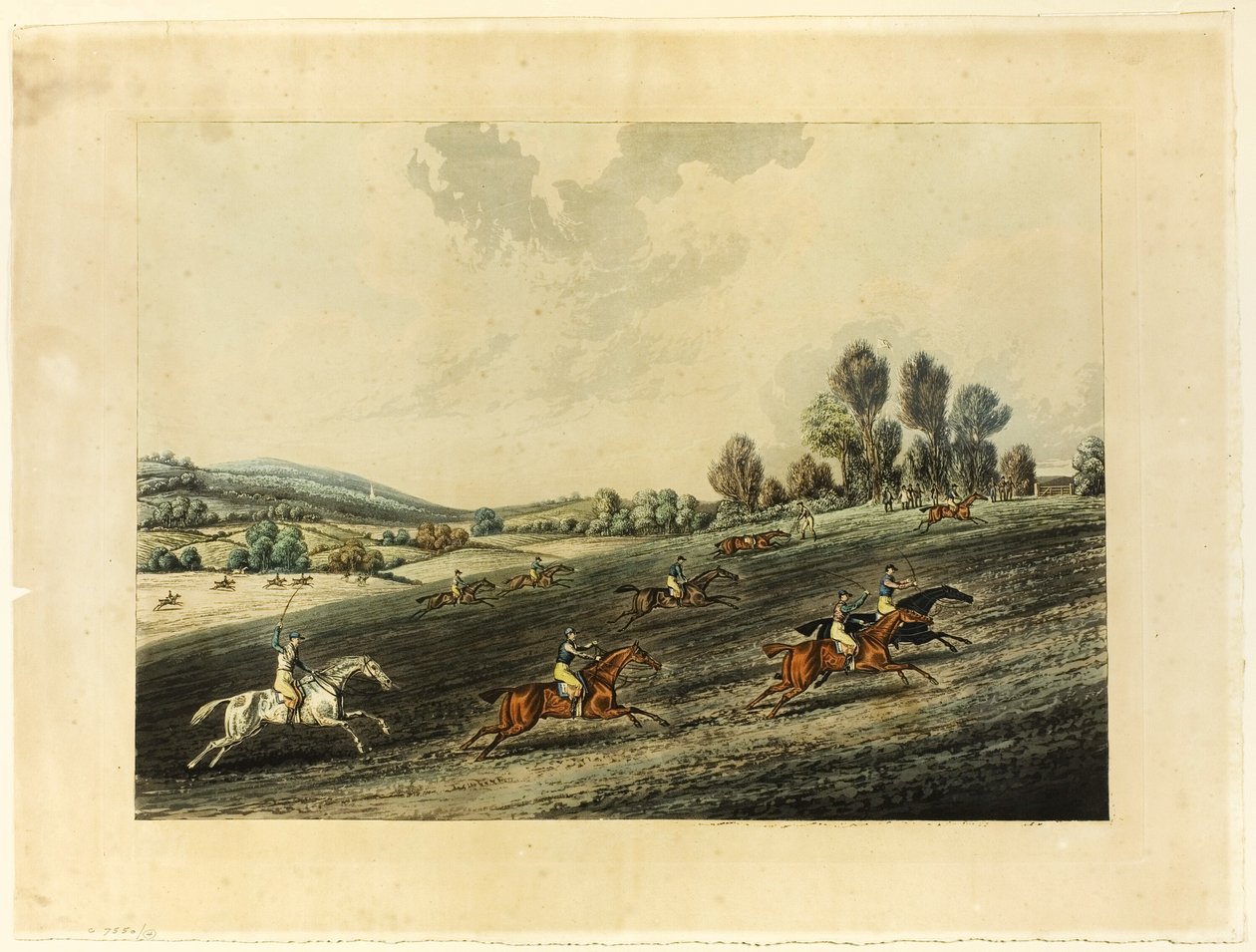 Saint Albans Grand Steeple Chase de James Pollard
