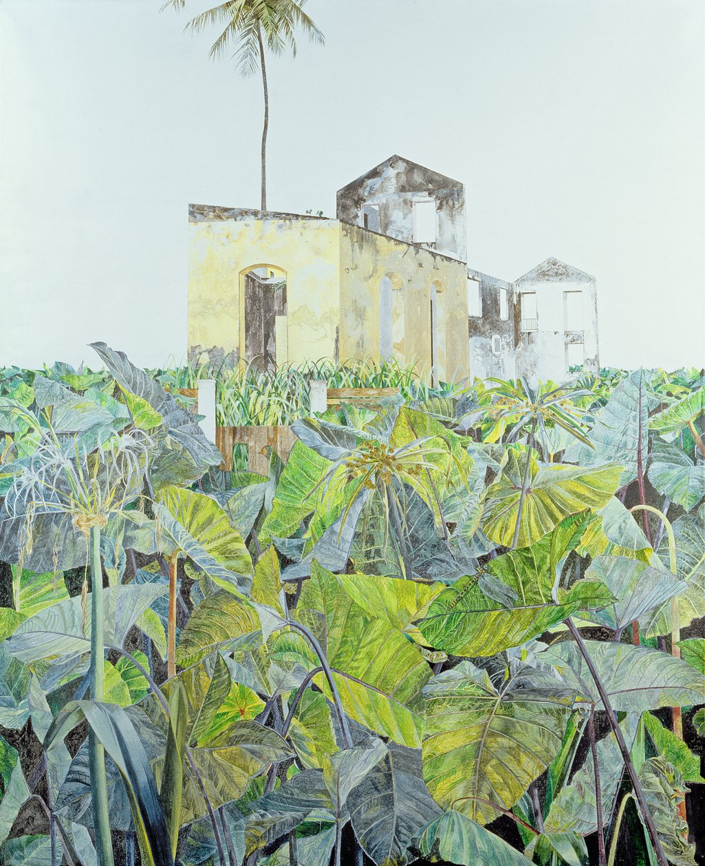 Ruína em um pântano, Haiti, 1971 de James Reeve