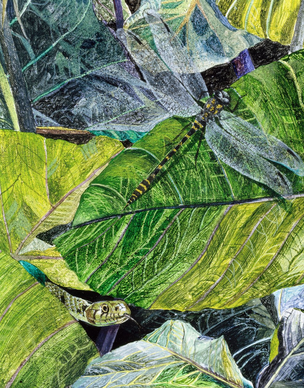 Cobra d&39;água e mosca-dragão, 1971 de James Reeve
