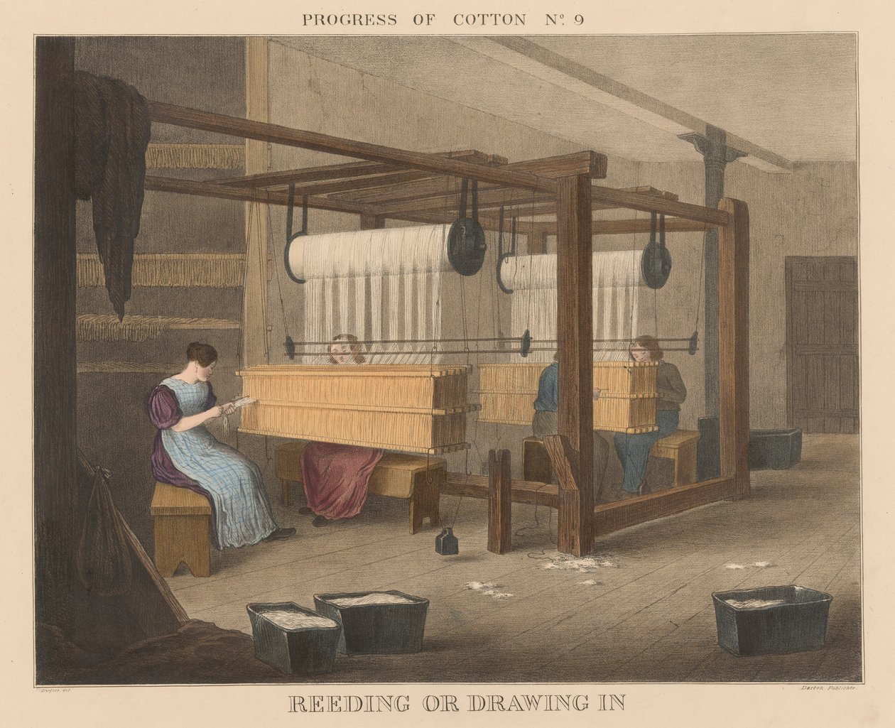 Progresso do Algodão: #9 - Reeding ou desenho de James Richard Barfoot