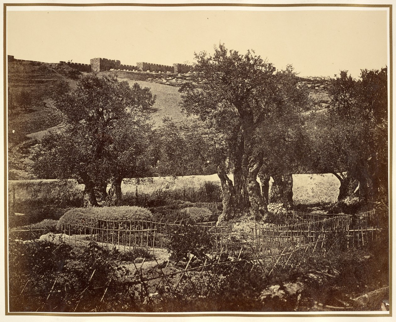 O Jardim do Getsémani de James Robertson