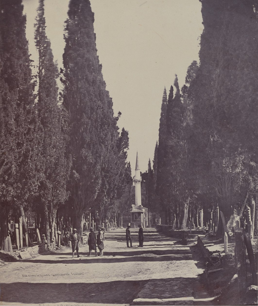 Vue dans le Grand Cimetière de Scutari (Cena no Grande Cemitério de Scutari) de James Robertson
