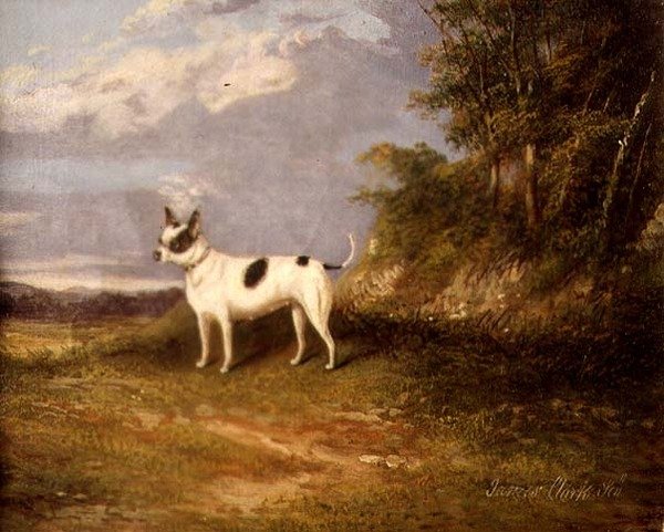 Um terrier em uma paisagem de James Senior Clark