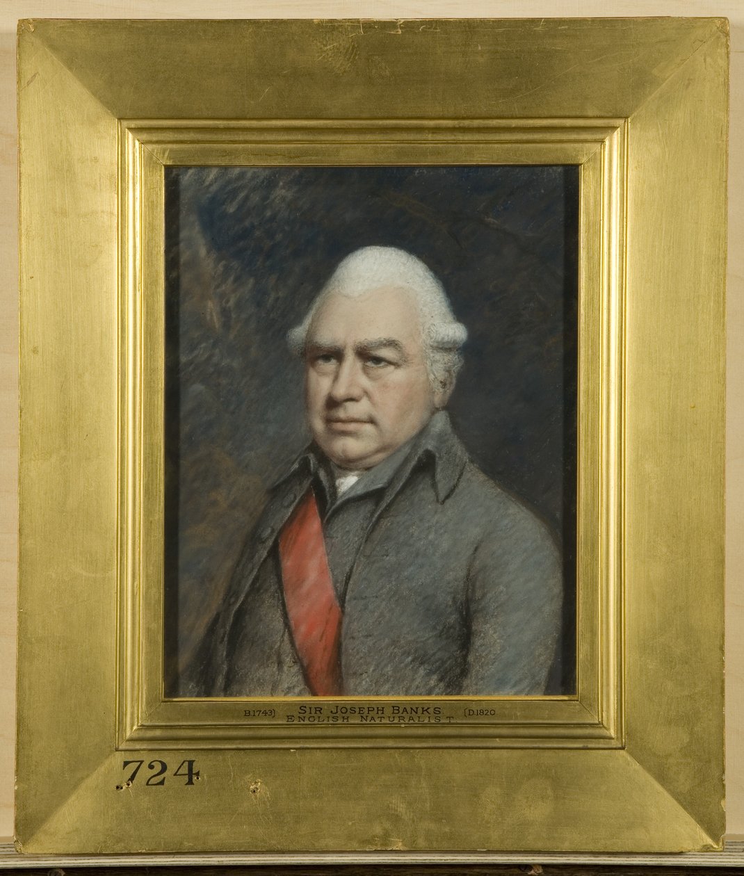 Sir Joseph Banks, naturalista inglês de James Sharples