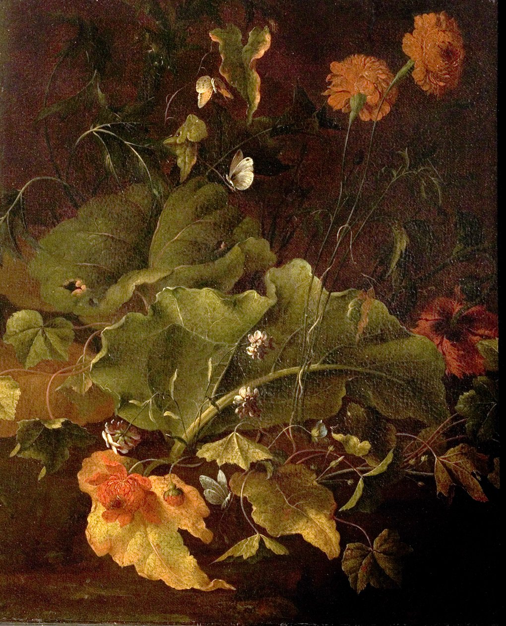 Doca de folhas e outras flores, c.1820 de James Sillett
