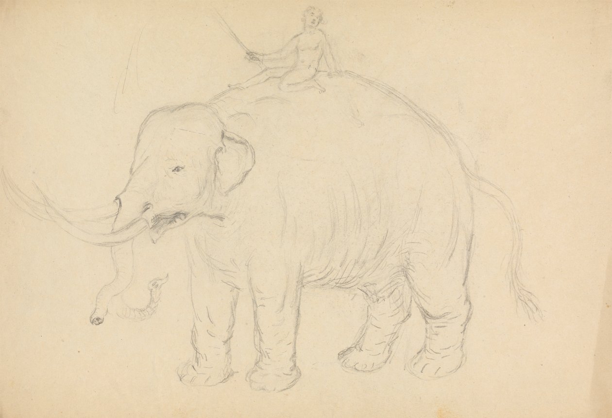 Elefante com Cavaleiro de James Sowerby