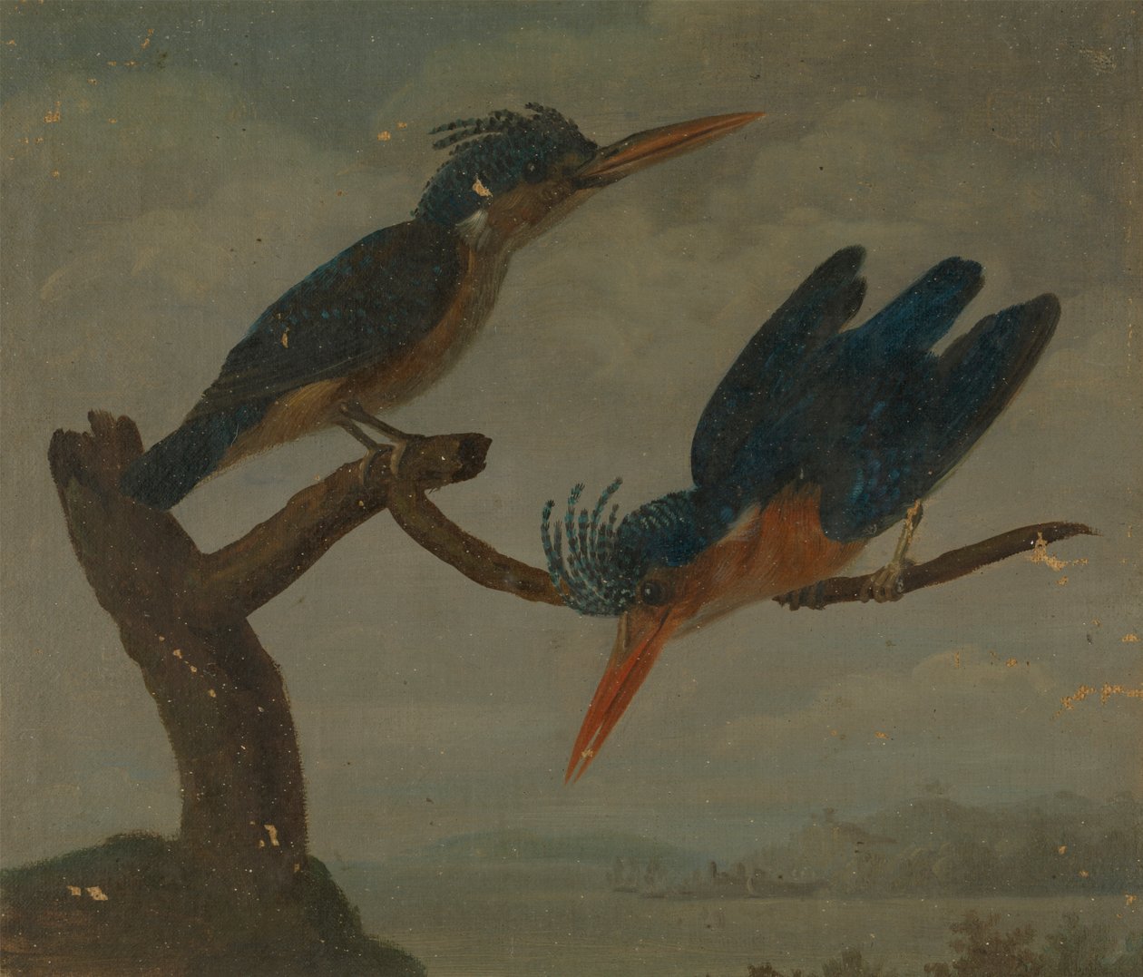 Dois Kingfishers ao lado de um lago de James Sowerby