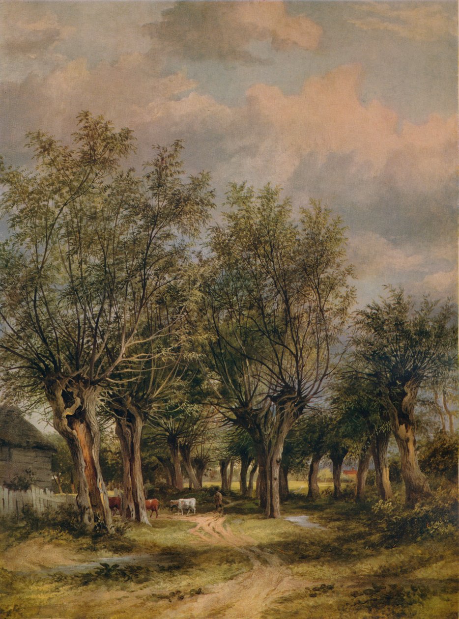 Uma pista perto de Norwich, c1837 de James Stark
