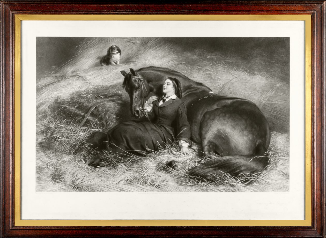 A Megera Domada (também chamada de &39;The Pretty Horsebreaker&39;) (mezzotint) de James Stephenson