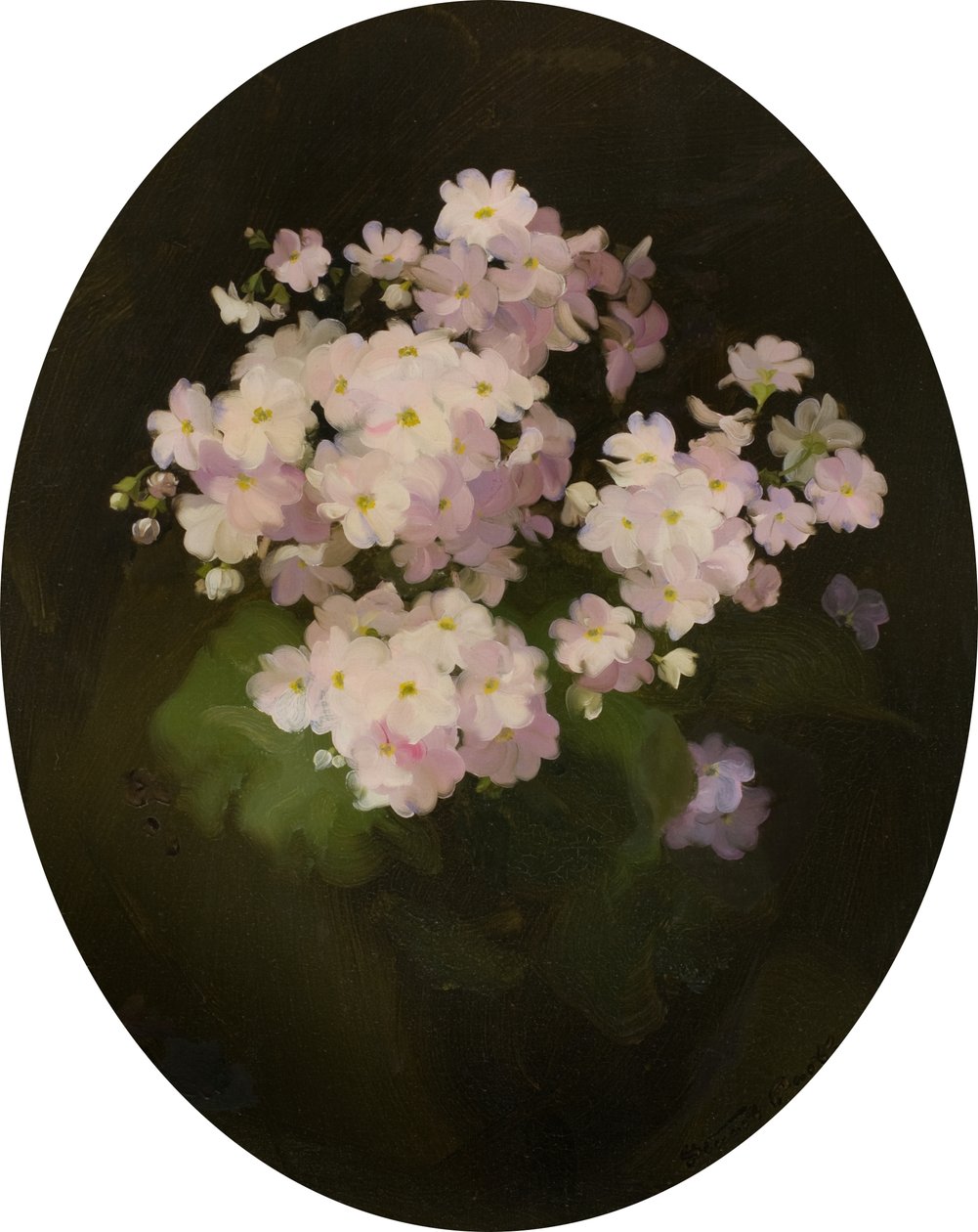 Primulas, século 20 (óleo sobre tela) de James Stuart Park