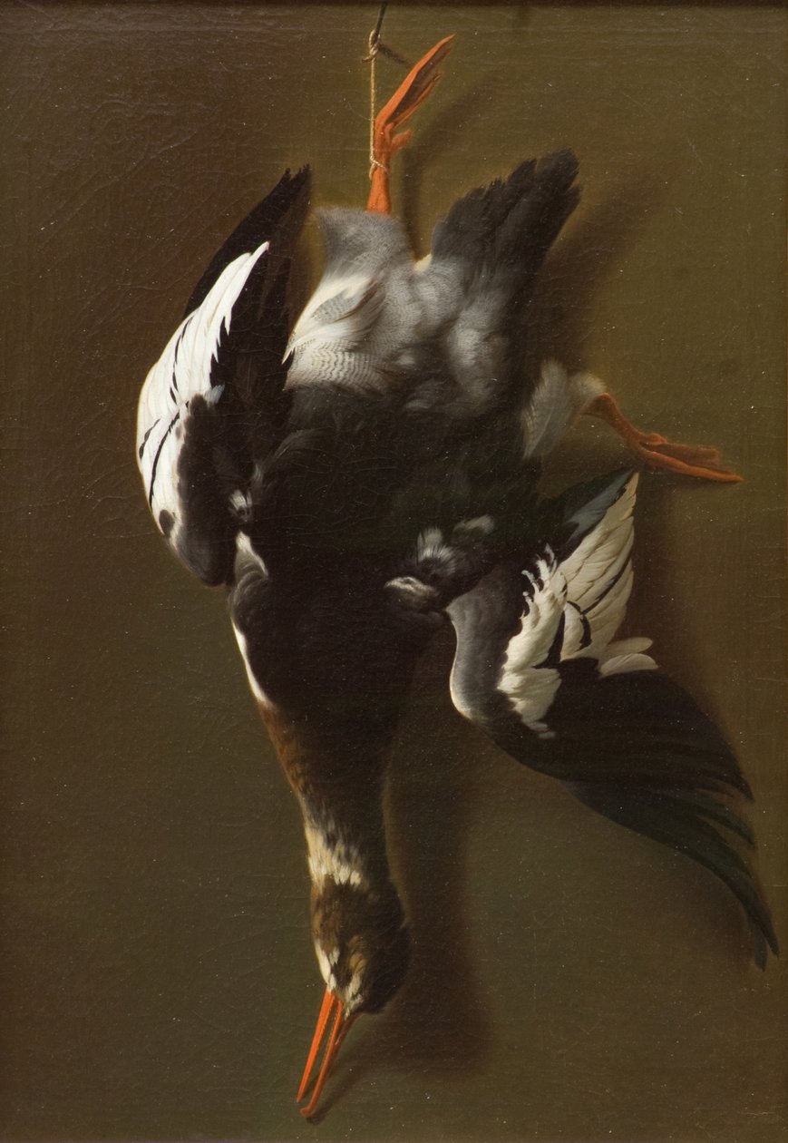 Dead Fowl, c.1815 (óleo sobre tela) de James Thom