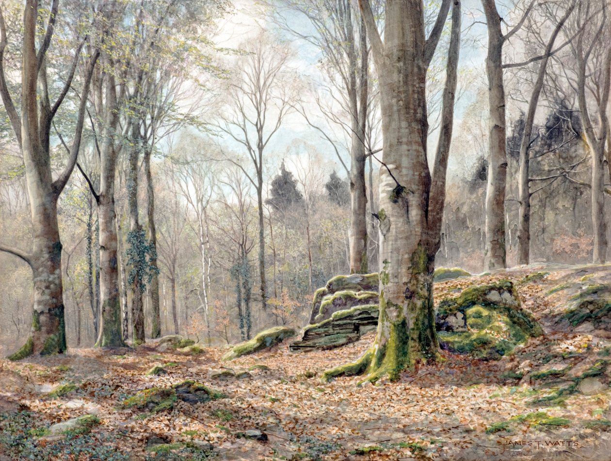 Um bosque galês (aguarela) de James Thomas Watts