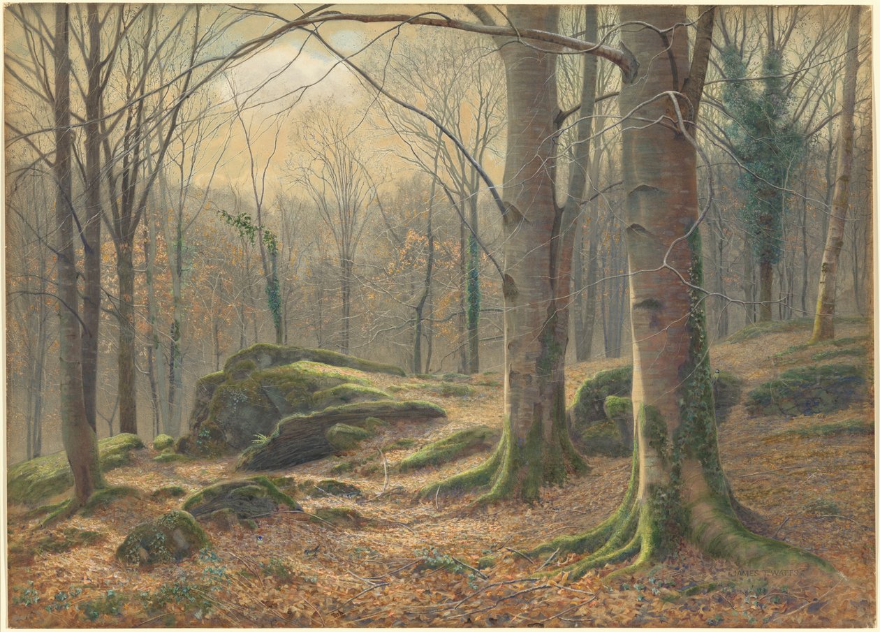 Uma manhã de inverno, geada derretendo de James Thomas Watts