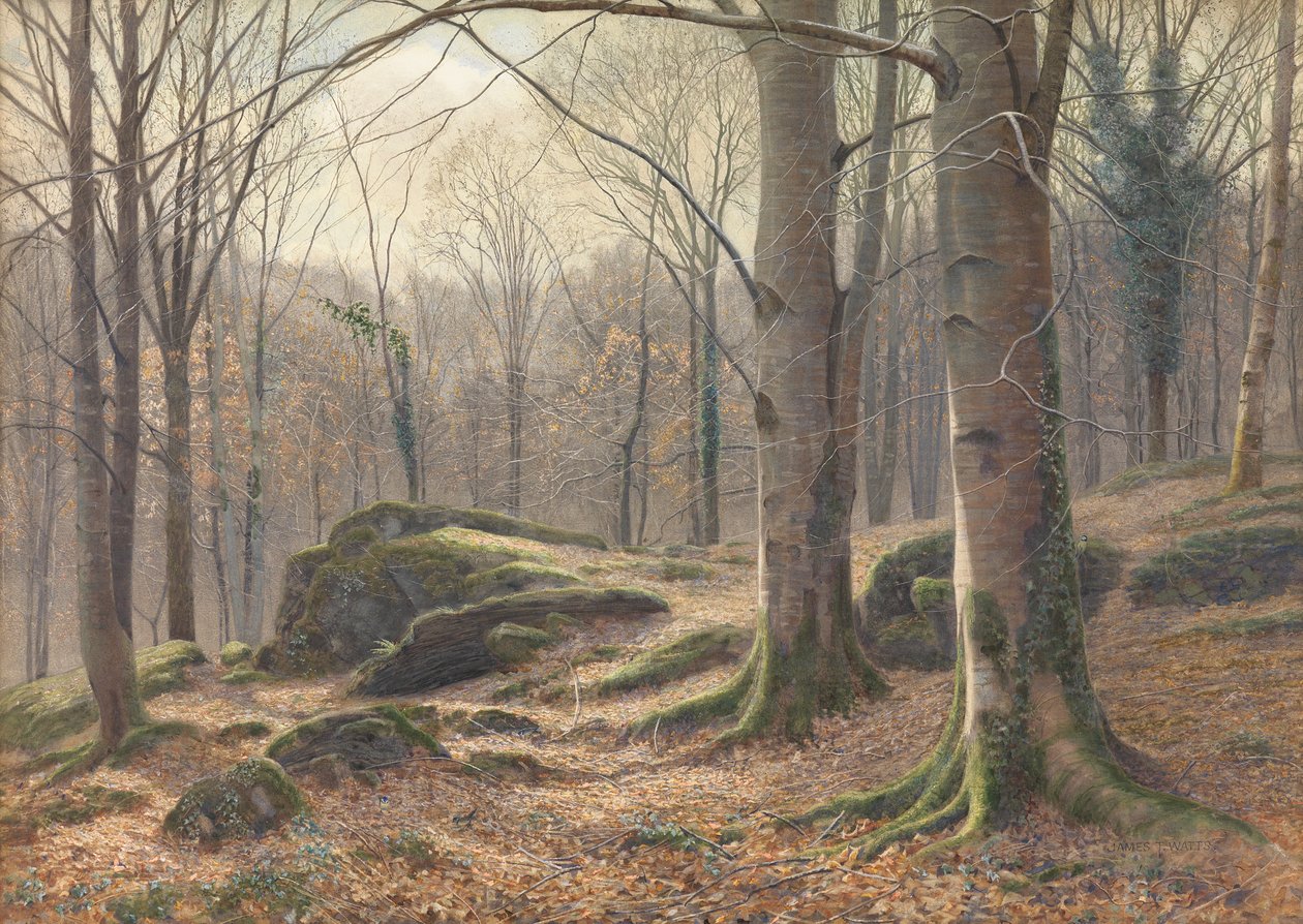 Uma manhã de inverno, Hoar Frost Melting, 1885-1894 de James Thomas Watts