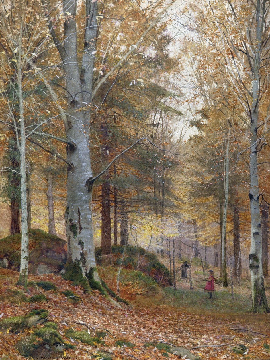 Outono na floresta de James Thomas Watts
