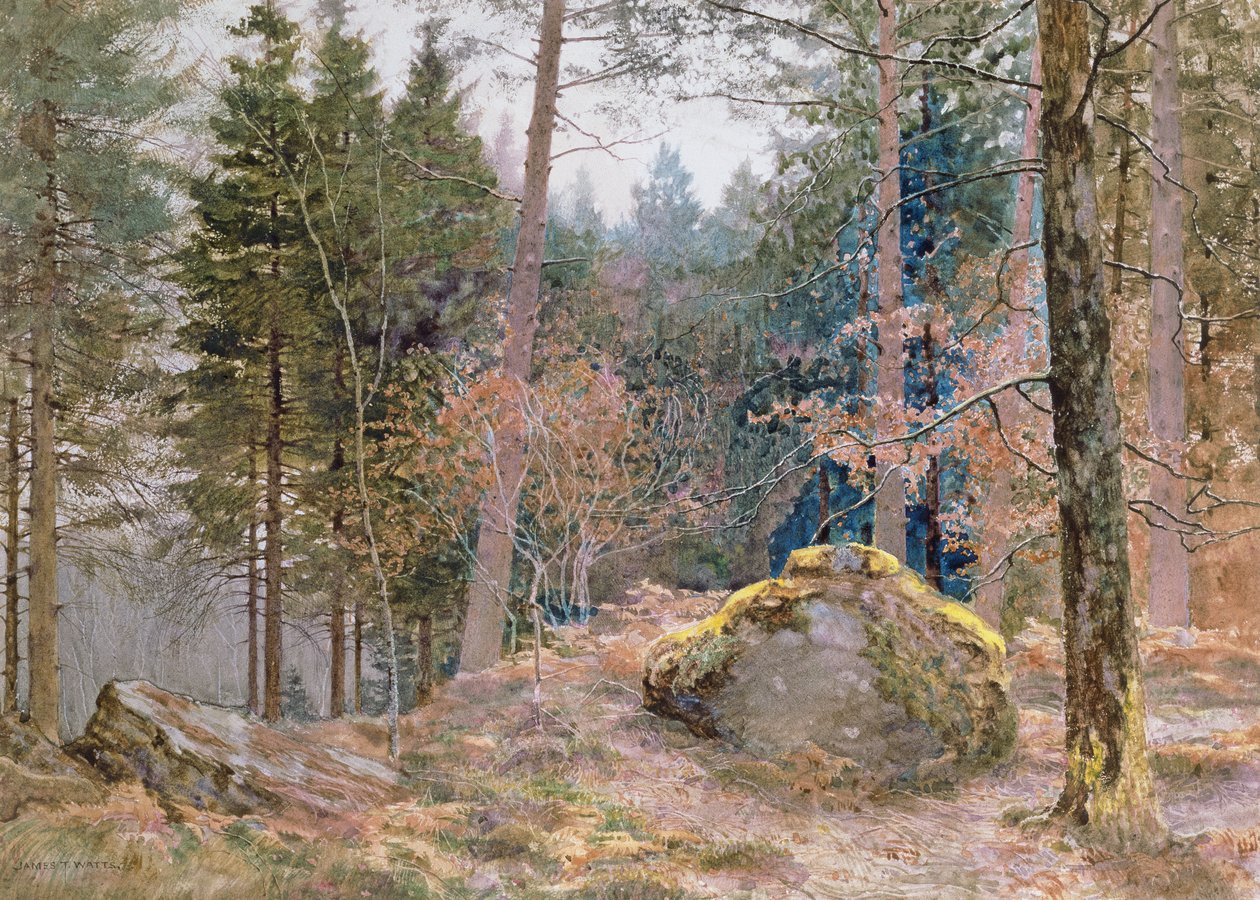 Em uma madeira galesa, inverno de James Thomas Watts