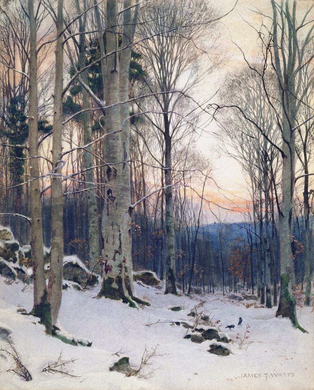 Crepúsculo, madeiras de faia (wc) de James Thomas Watts