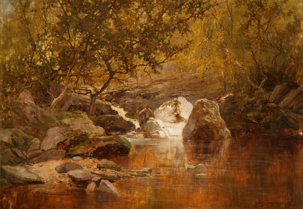 Uma piscina de salmão (óleo sobre tela) de James Townshend