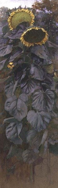Girassóis (aguarela) de James Valentine Jelley