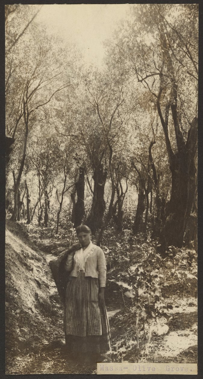 Missa - Bosque das Oliveiras de James W. Holcombe