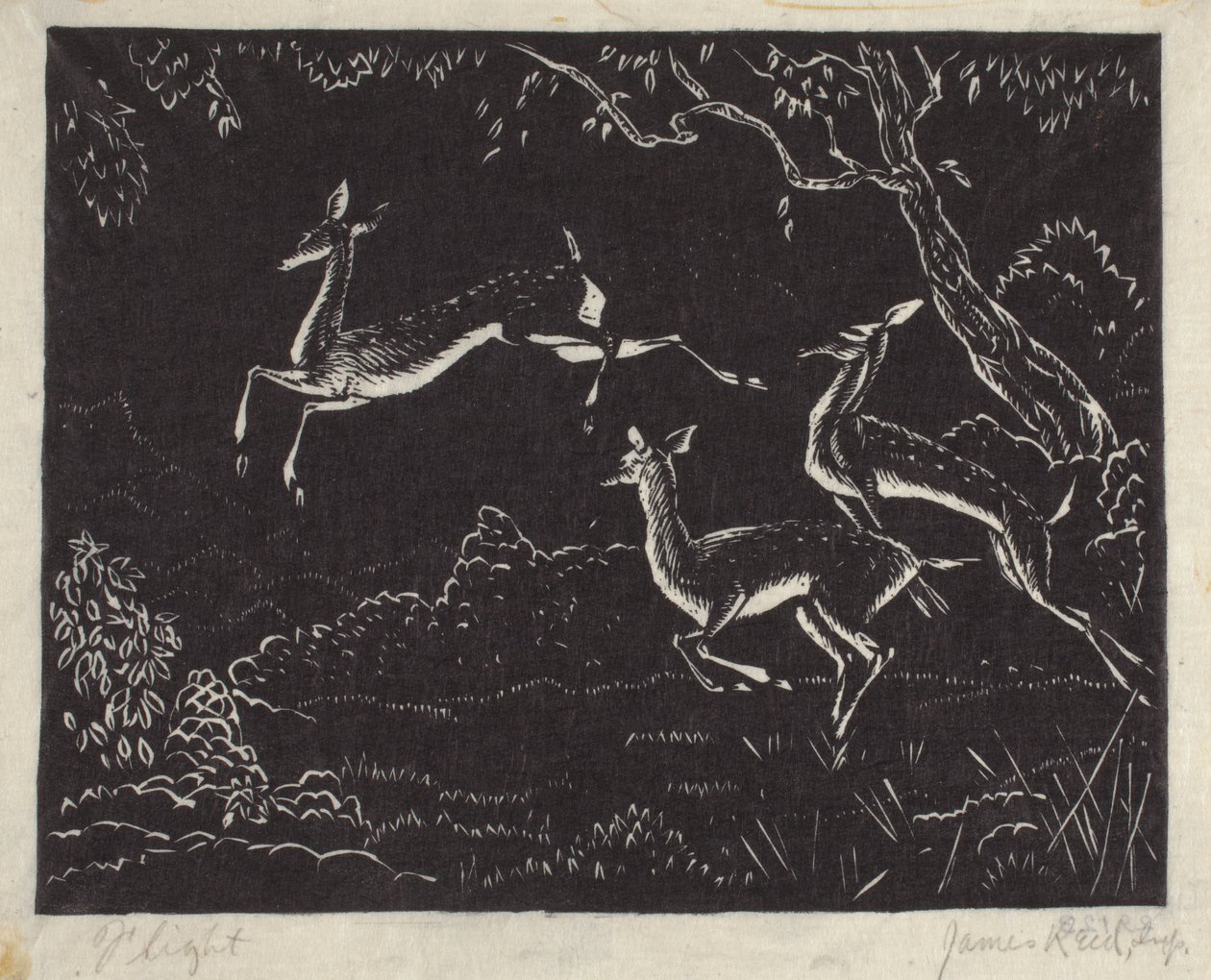 Voo (impressão em bloco de madeira) de James W. Reid