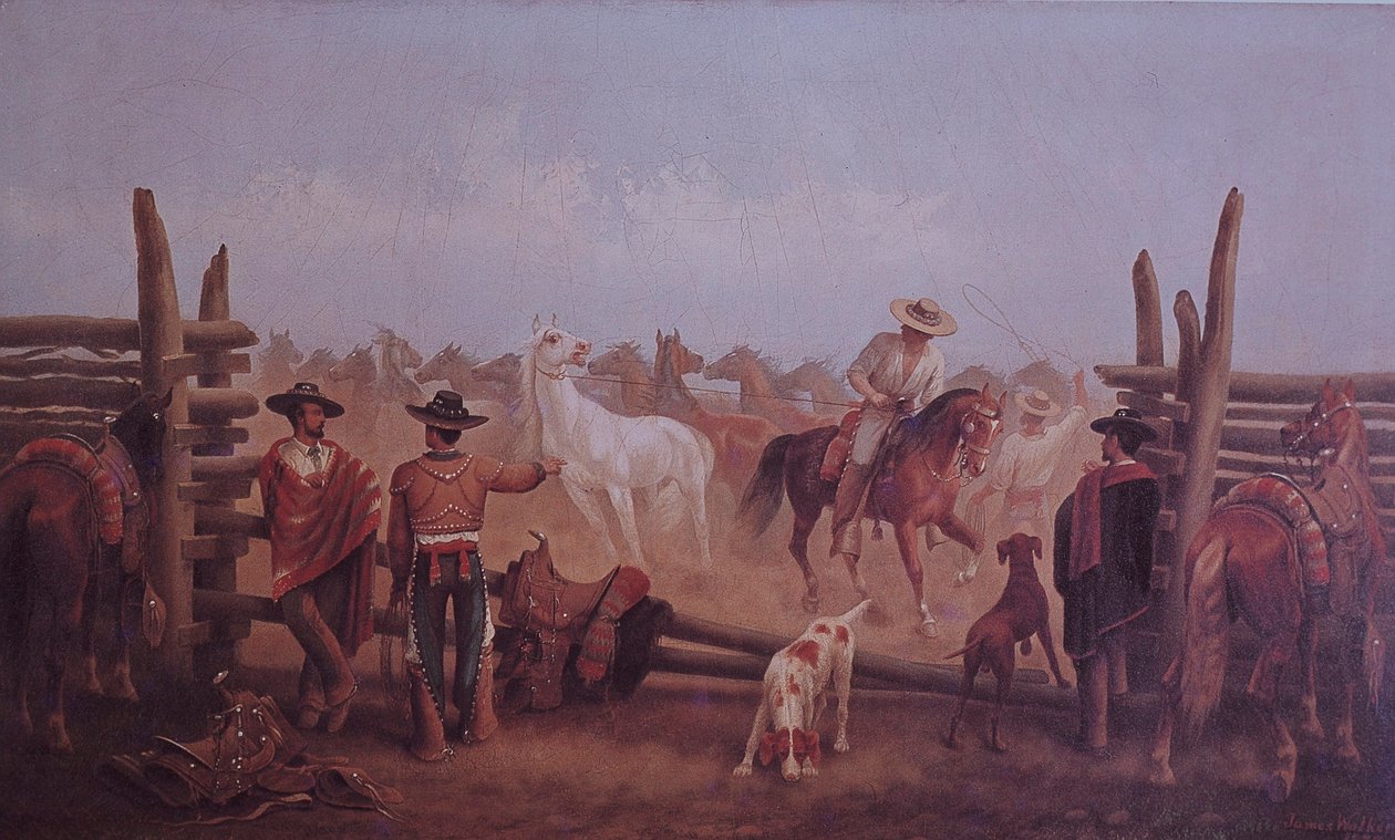 Fazendeiros Tejano de James Walker