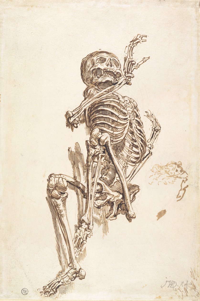 Um esqueleto humano (caneta e lavagem de tinta e lápis sobre papel) (reto) de James Ward
