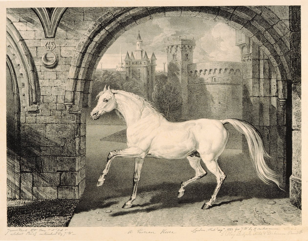 Um cavalo persa, de &39;Celebrated Horses&39;, um conjunto de catorze impressões de corrida publicadas pelo artista, 1823-24 de James Ward