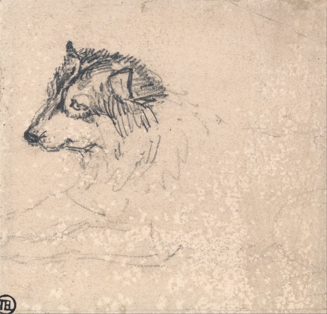 Cão do Ártico, virado para a esquerda de James Ward
