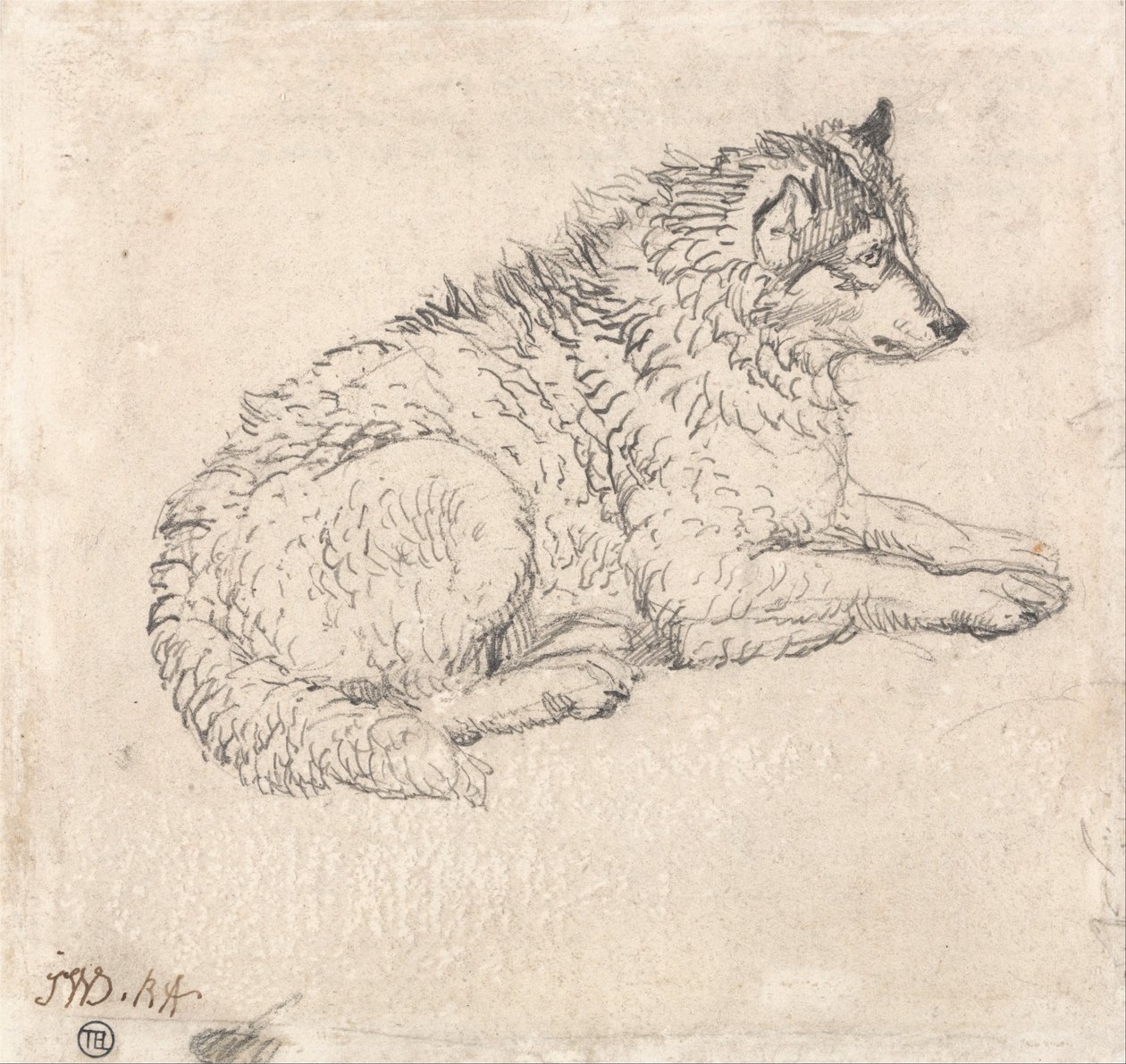 Cão do Ártico, virado para a direita de James Ward
