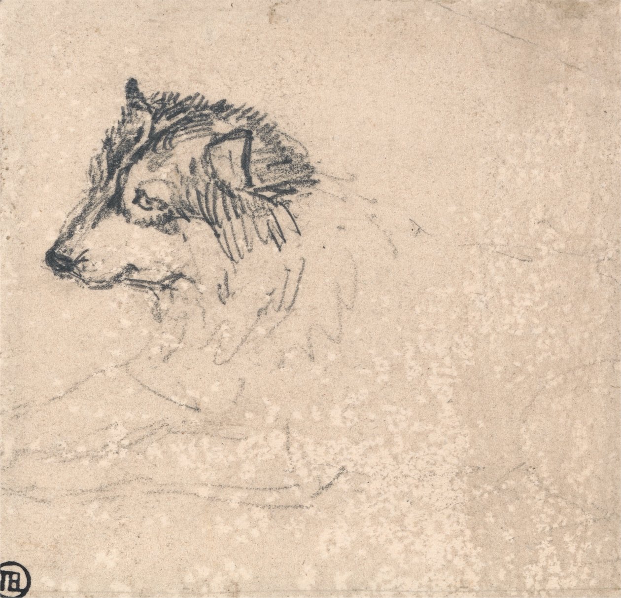 Cão Ártico, virado para a esquerda de James Ward