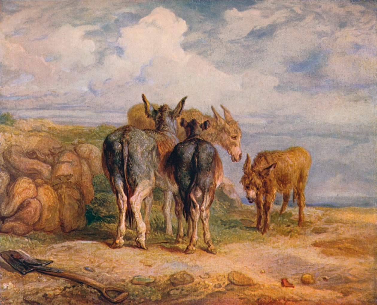 Burros, c1831 1904 de James Ward