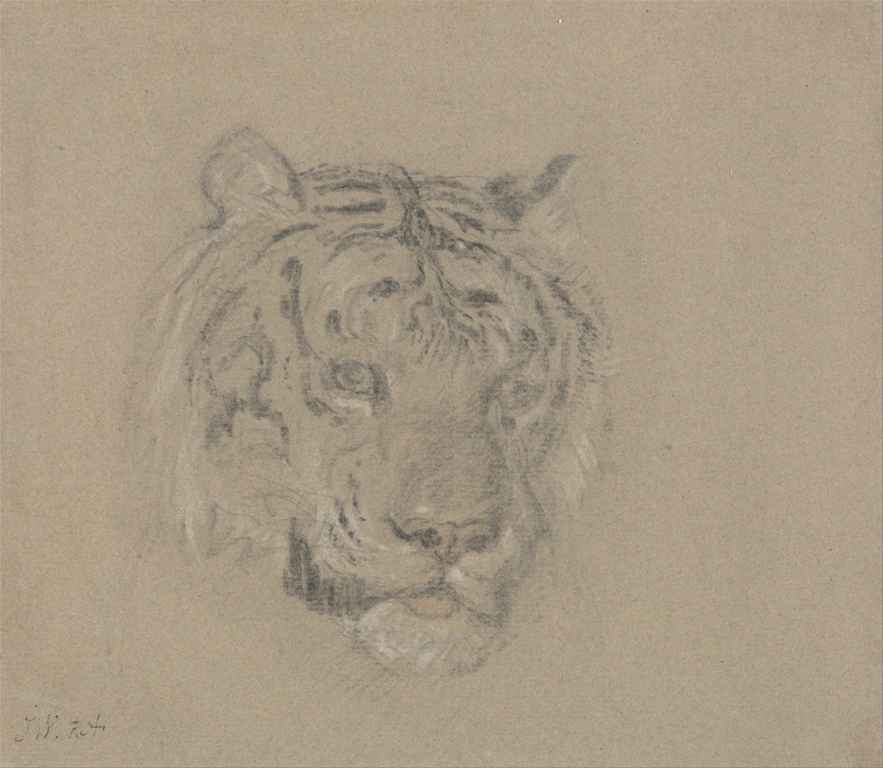 Cabeça de tigre de James Ward