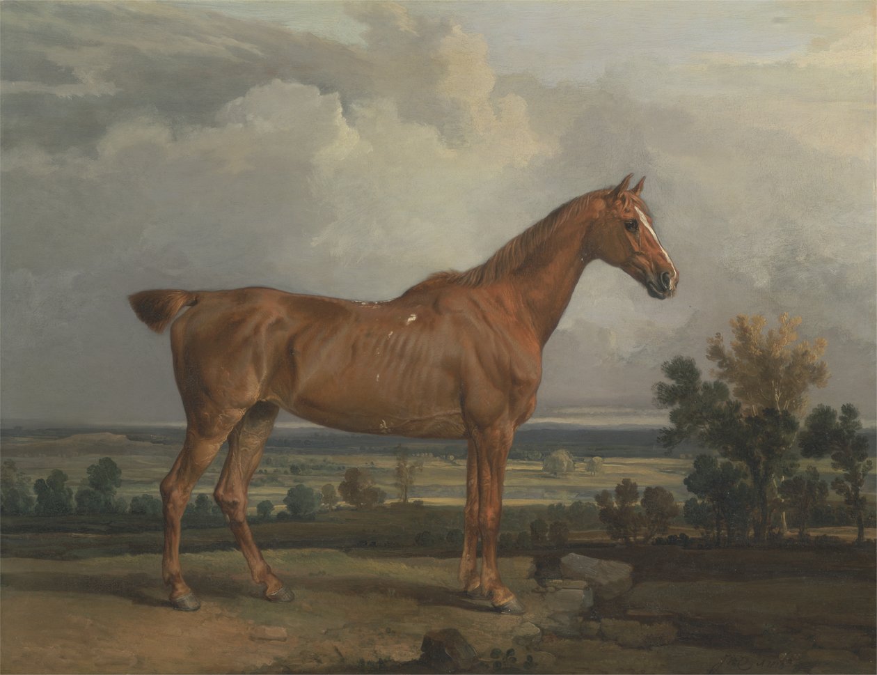Hunter in a Landscape de James Ward