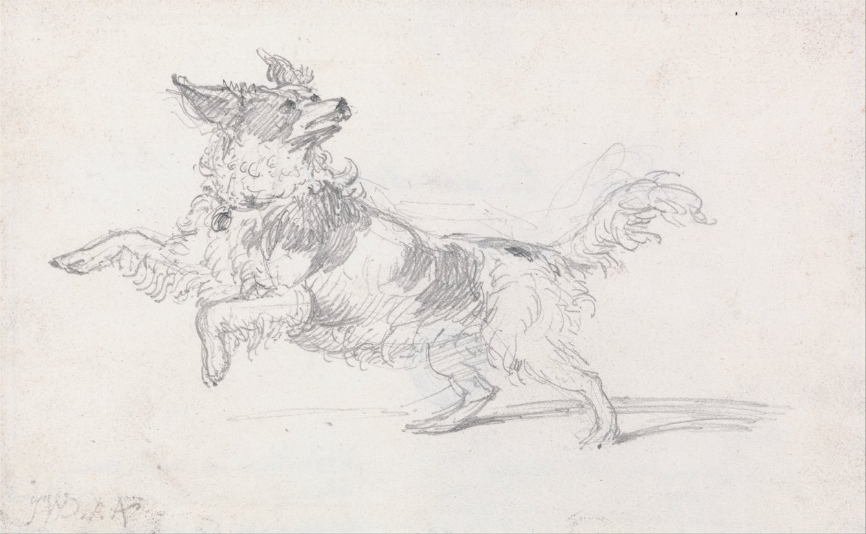 Cachorro de Lady Londonderry de James Ward