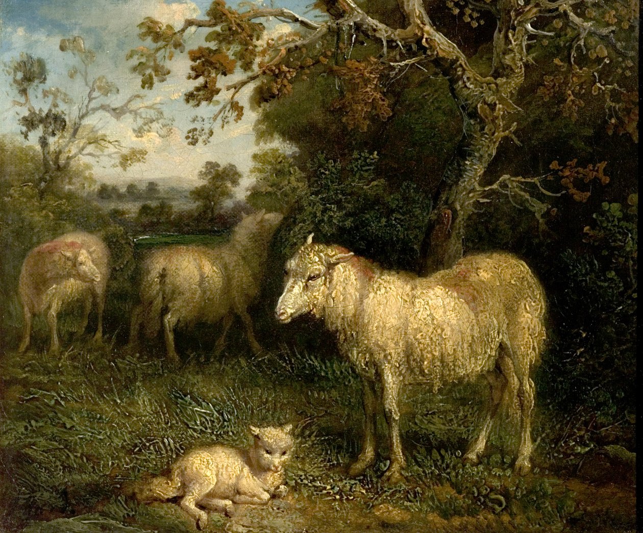 Paisagem com ovelhas de James Ward