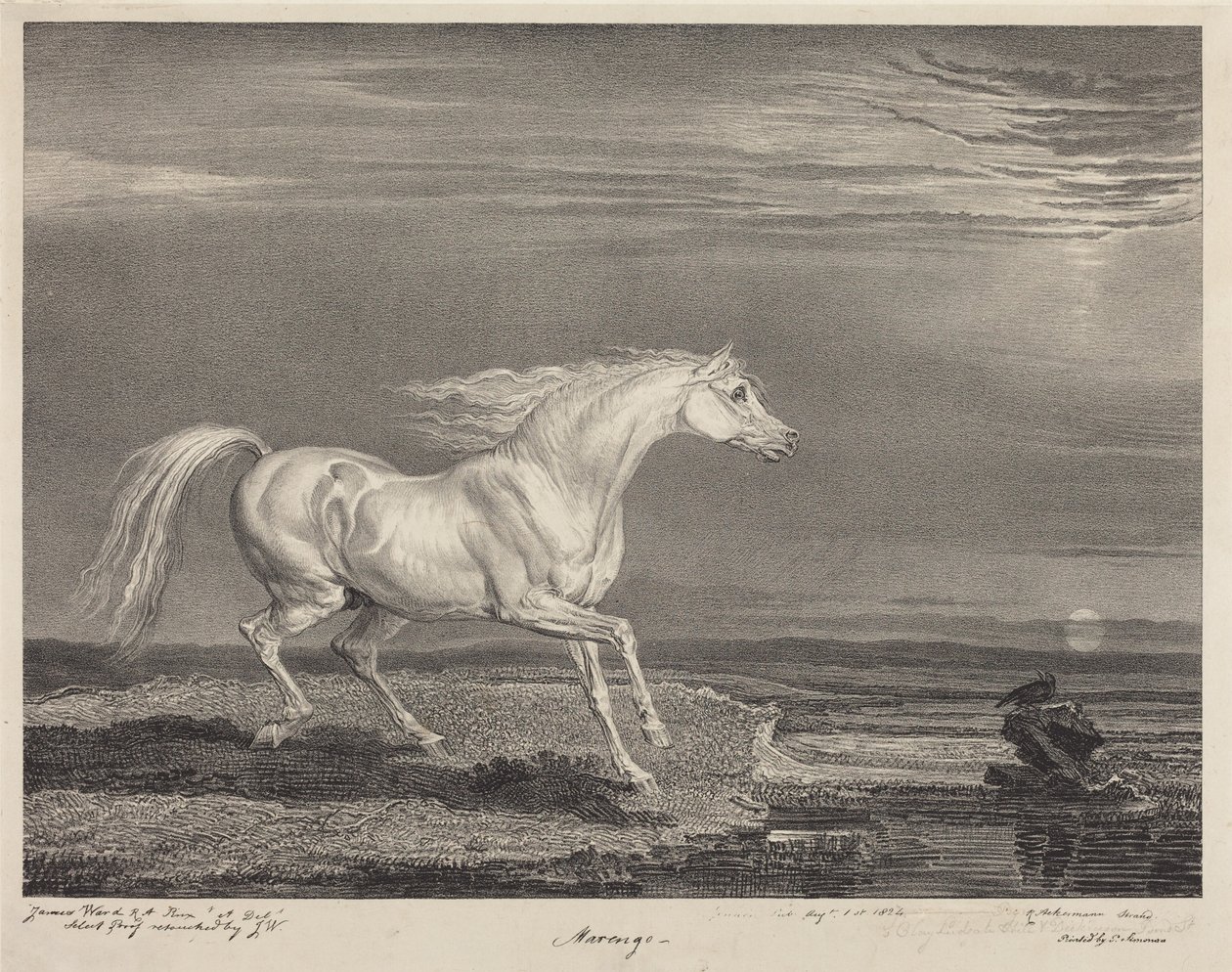 Marengo de James Ward