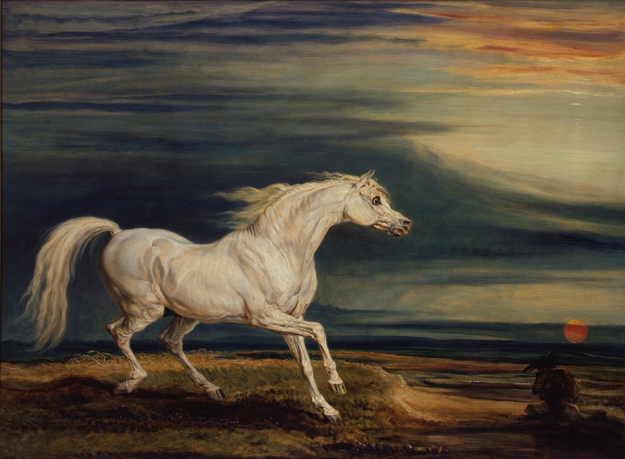 Marengo, o carregador árabe, montado por Napoleão Bonaparte na Batalha de Waterloo de James Ward