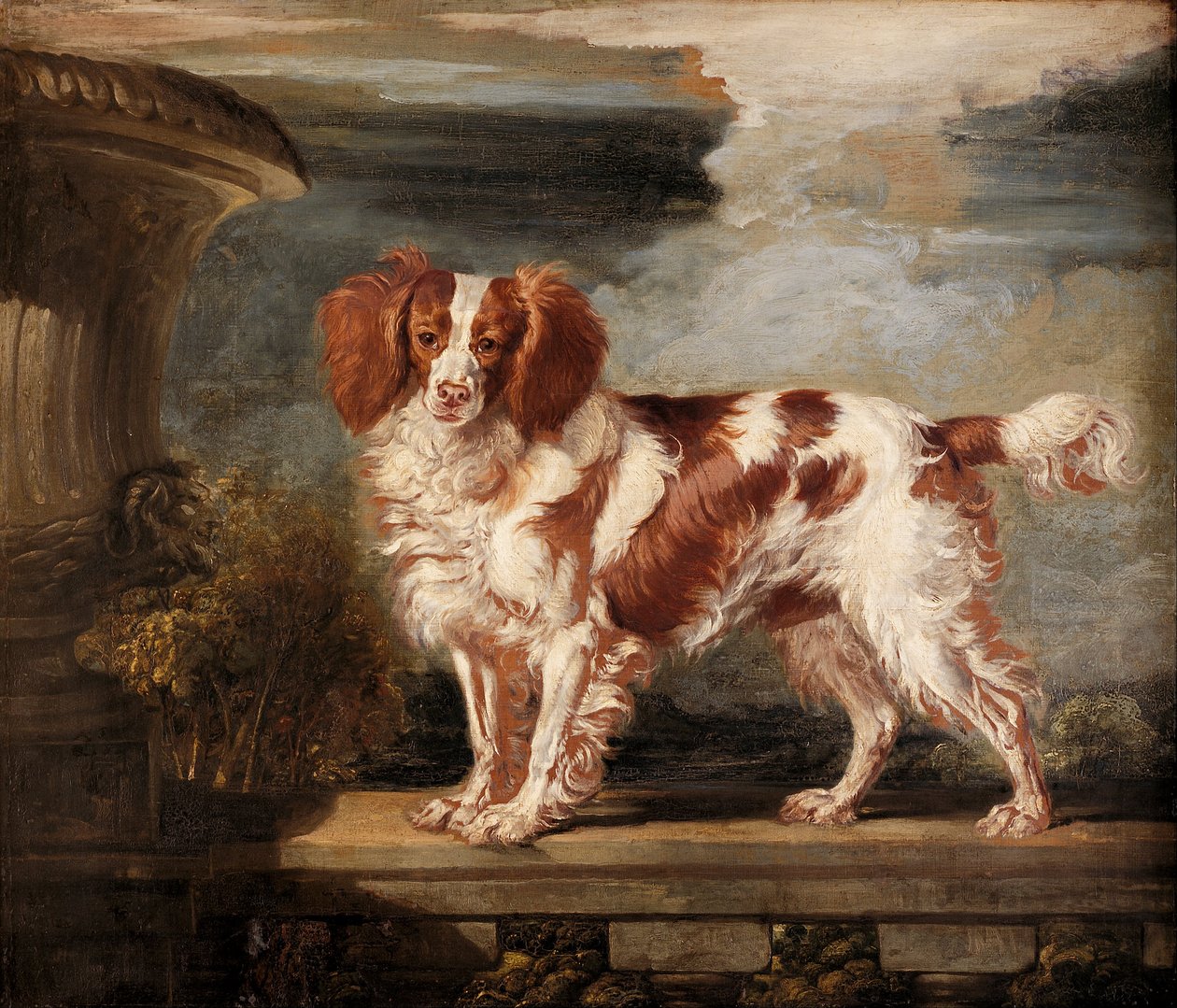 Retrato de Dash, um Spaniel Favorito, a Propriedade de Lady Frances Vane-Tempest de James Ward