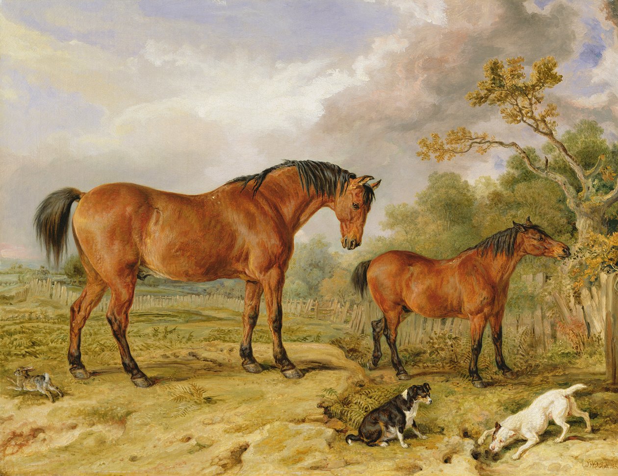 Retrato de Reformer, Blucher, Tory e Crib, a propriedade de Rowland Alston, esq. de James Ward
