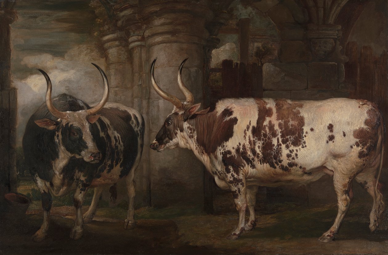 Retratos de Dois Bois Extraordinários, a Propriedade do Conde de Powis de James Ward