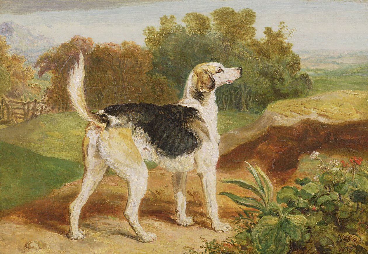 Ravager, um dos Lambton Hounds (óleo no painel) de James Ward