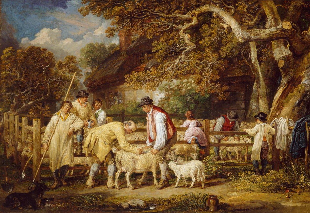 Salva de ovelhas, 1828 de James Ward