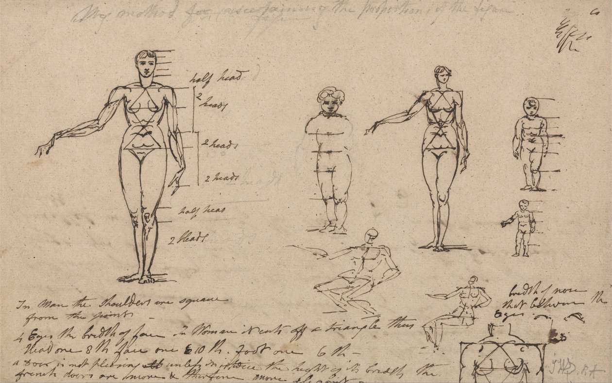 Estudos de Anatomia, Medidas e Escrita de James Ward