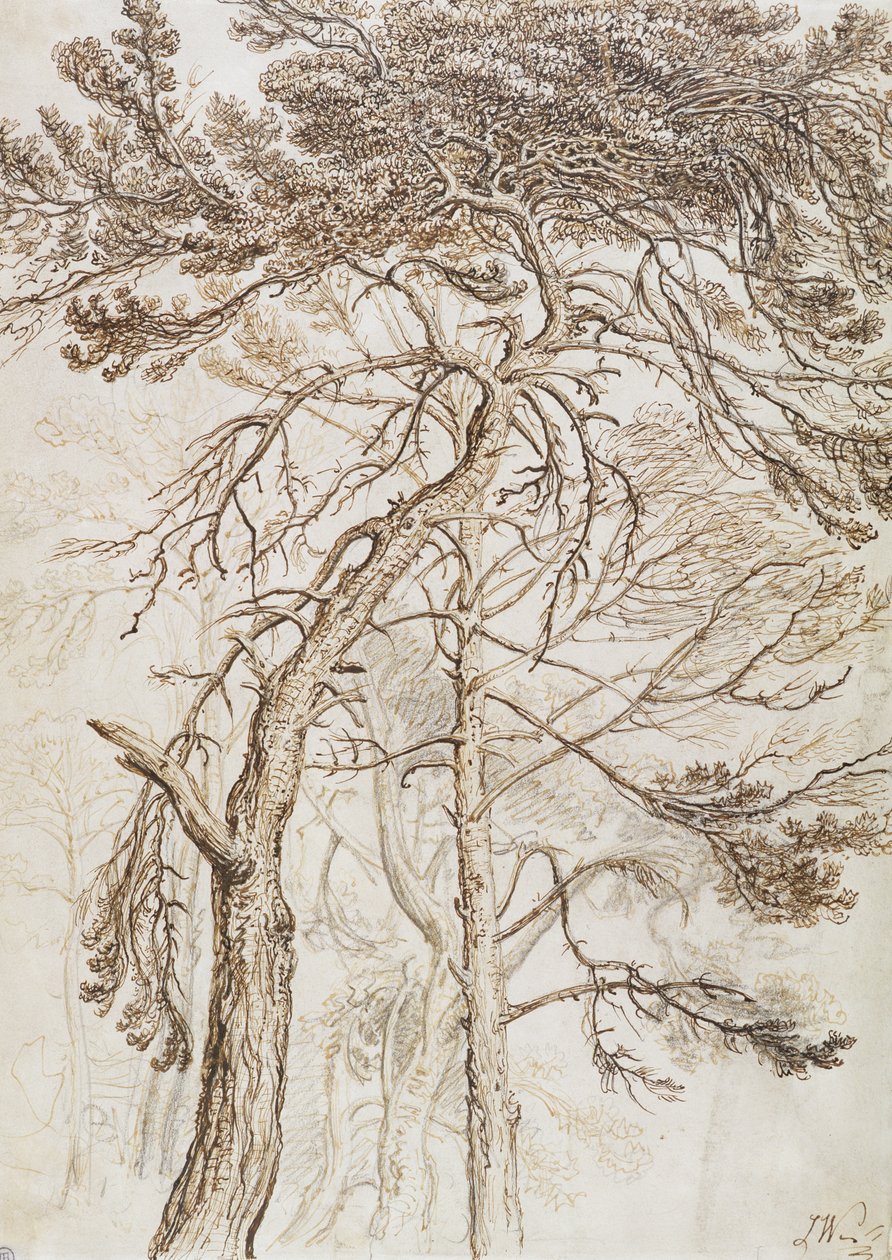 Estudo das Árvores (caneta e tinta e lápis no papel) de James Ward