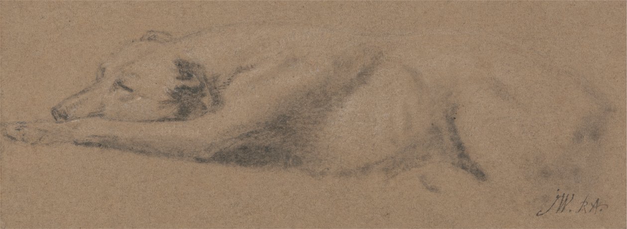 Estudo de um cão adormecido de James Ward