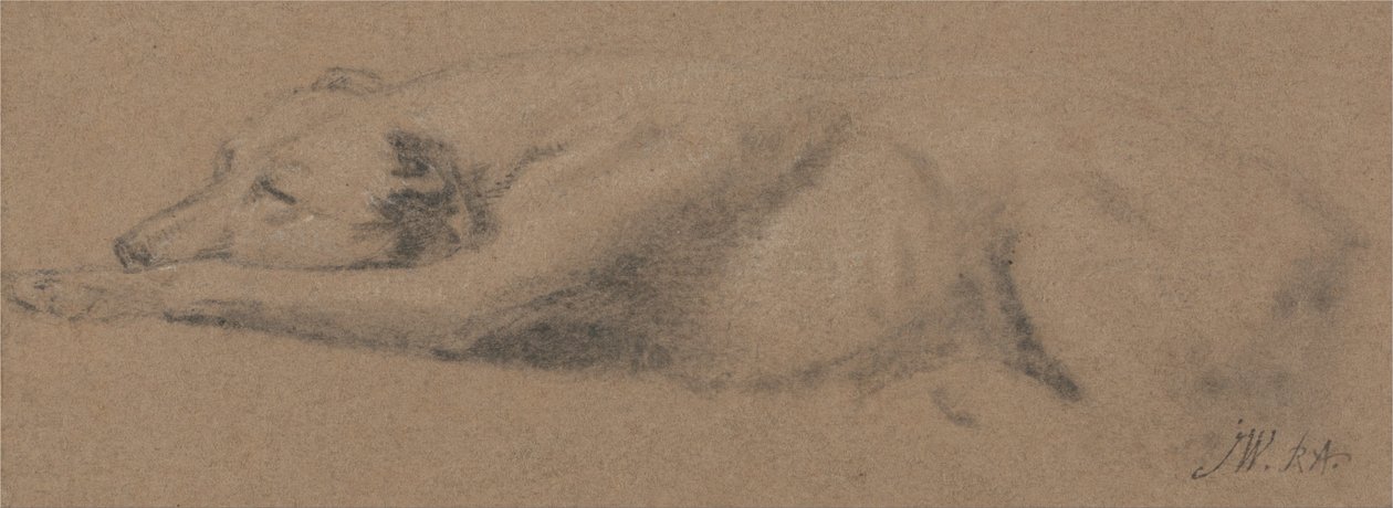 Estudo de um cão adormecido de James Ward